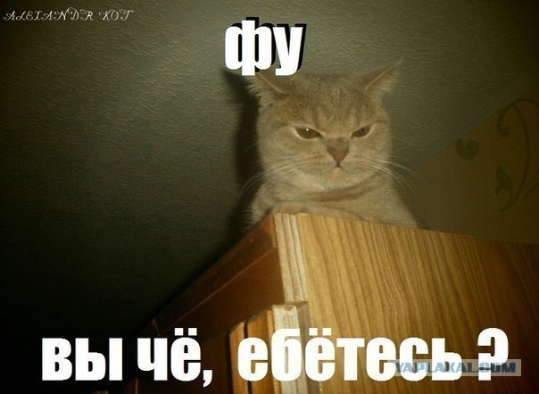 Секс на природе