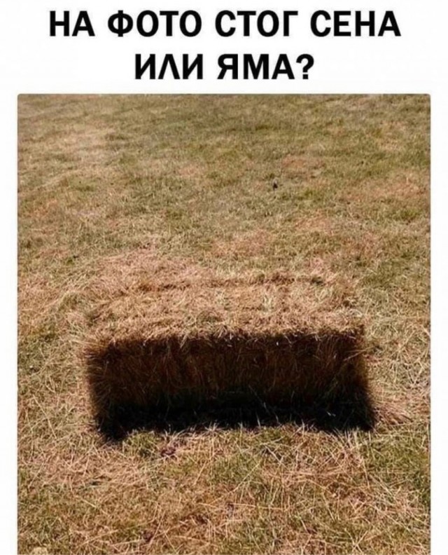 Бессовестный обман зрения.