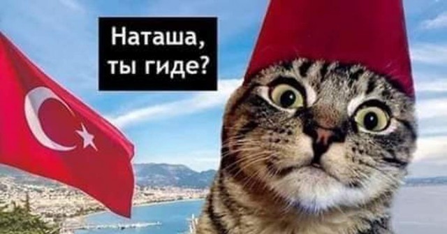 Женщина за 50 никому не нужна