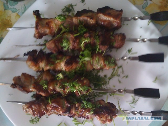 Эксперименты с мясом