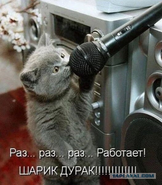Картинки и мемы для настроения 006