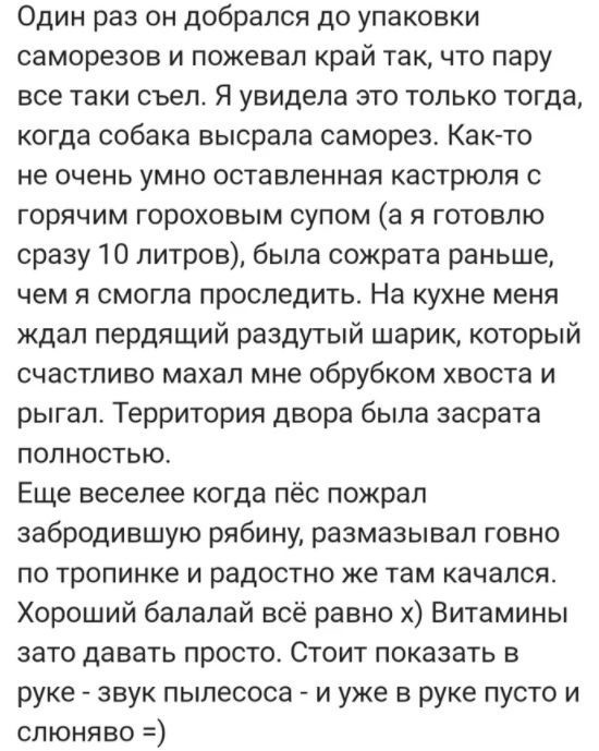 Веселые засранцы