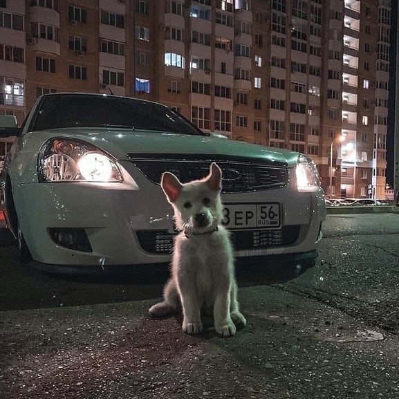 Так себе картинки 25.08.21