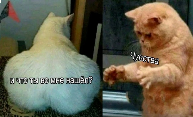 Так себе картинки 25.08.21