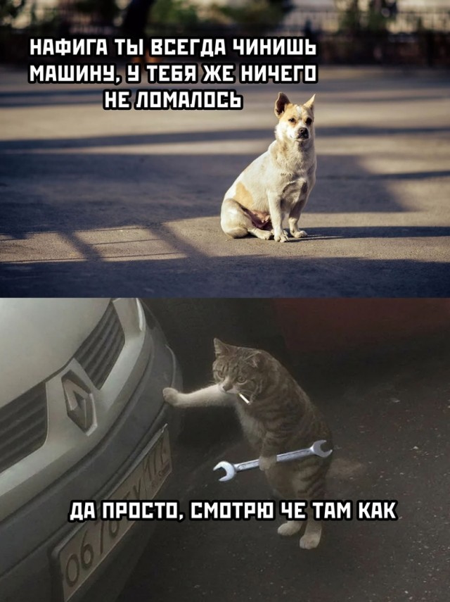 Картинки и мемы для настроения
