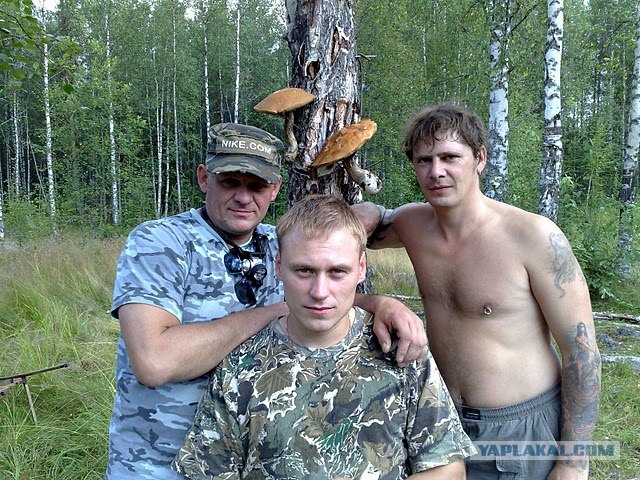 Моя Карелия