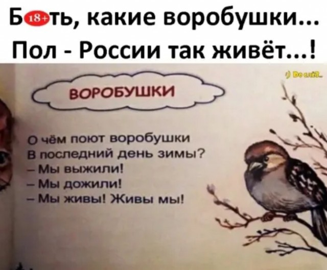 Так себе картинки 18.04.22