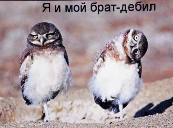 Кто же ты такой?