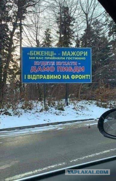 Молдаванка троллит украинских беженцев
