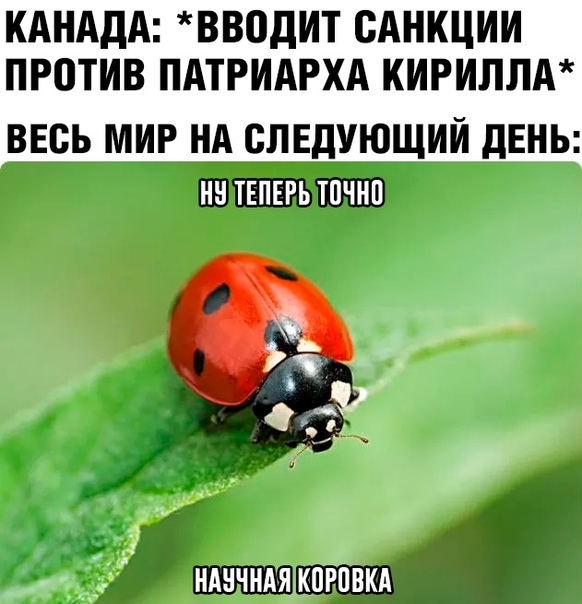 Весёлый полтишок 11.07.22