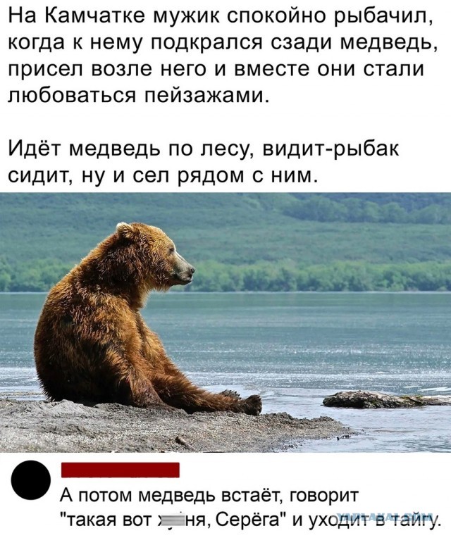 Так себе картинки 11.08.22