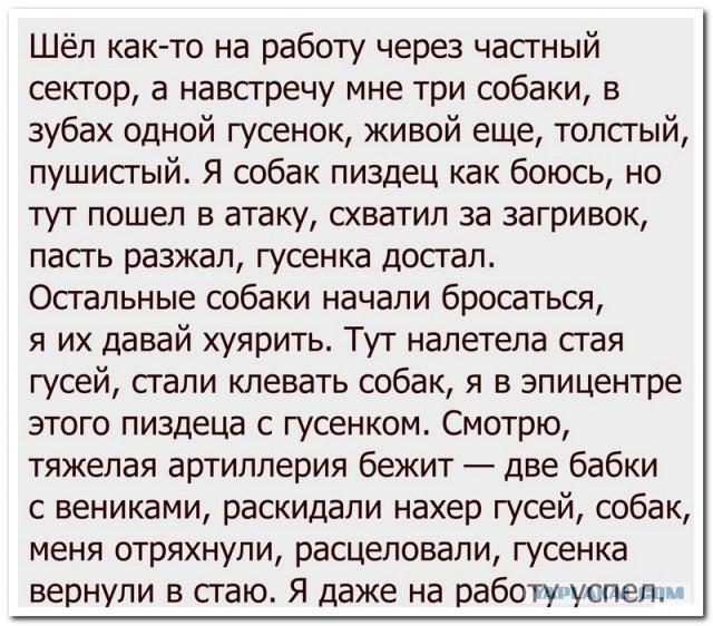 Забавные комментарии из социальных сетей (21.11.22)