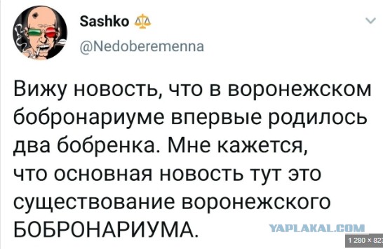 Дорога к бобру