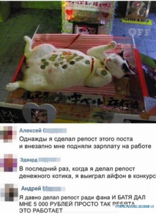 Извините. Деньги очень нужны