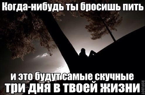 Околоалкогольные мемчики