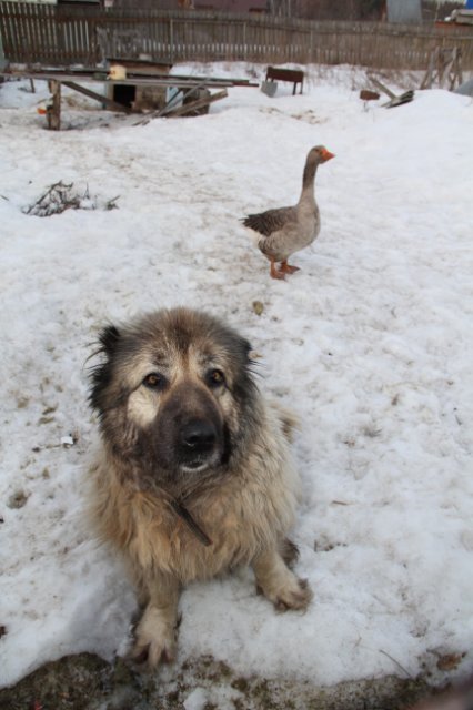 Такая вот дружба