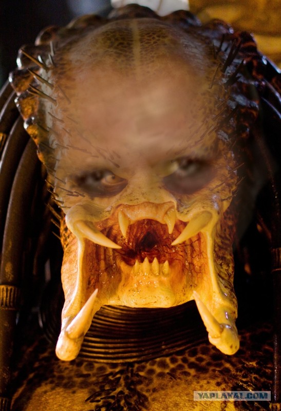 Все бабы как бабы, а я Богиня