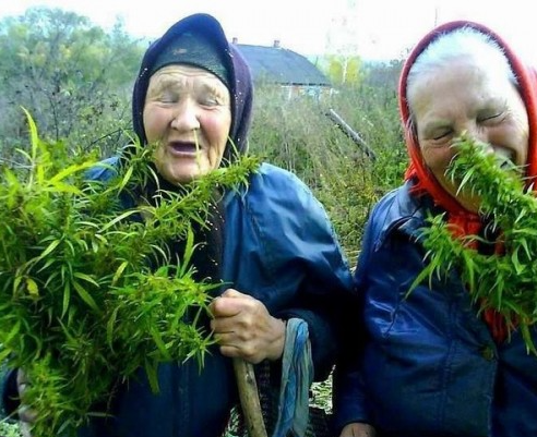 Три причины: Почему разведёнке необходимо снова выйти замуж