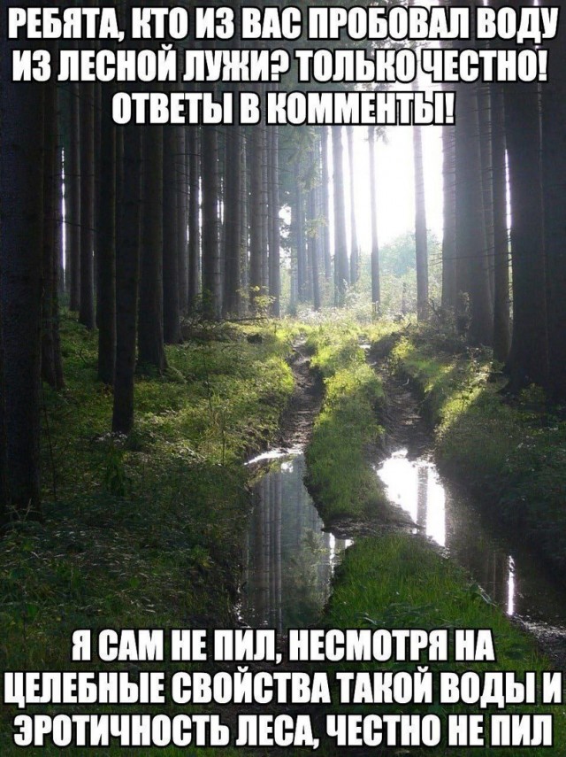 Так себе картинки 06.10.23
