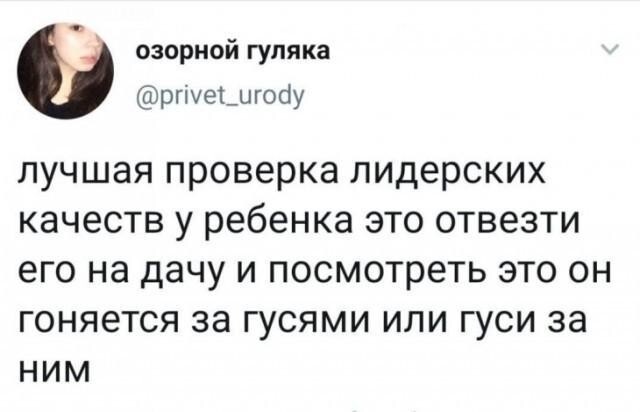 Гусь вялый