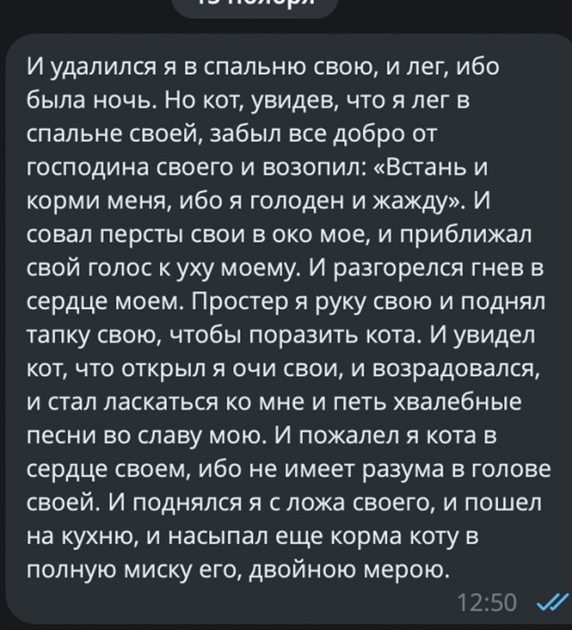 Весёлый полтишок 19.11.23