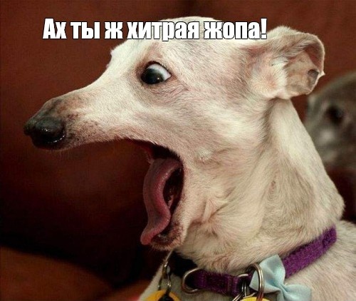 Сначала женись