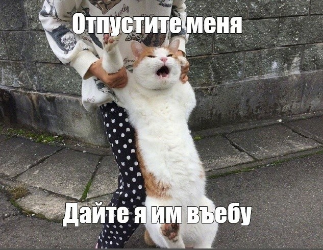 Лидер группы "Пикник" Эдмунд Шклярский обратился к семьям погибших и пострадавших в теракте перед их концертом
