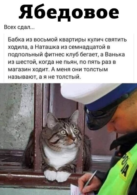 Дело было вечером
