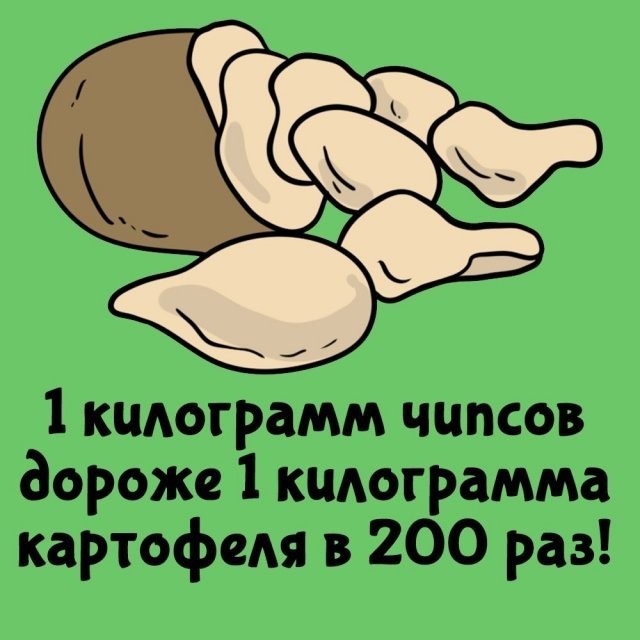 Подборка интересных фактов на все случаи жизни