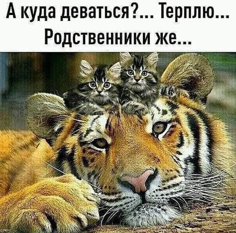 Так себе картинки 20.10.24