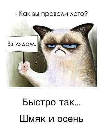 Так себе картинки 29.11.24
