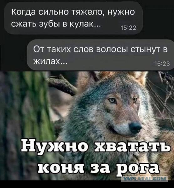 Завалялось тут случайно немного забавных картинок