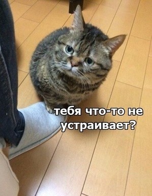 Прилетела синичка с очень интересной раскраской оперения