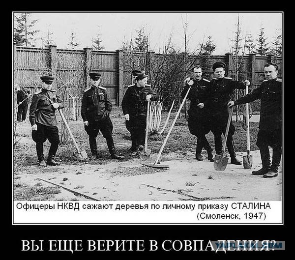 Польша намерена объявить в розыск медэкспертов по делу о катастрофе под Смоленском