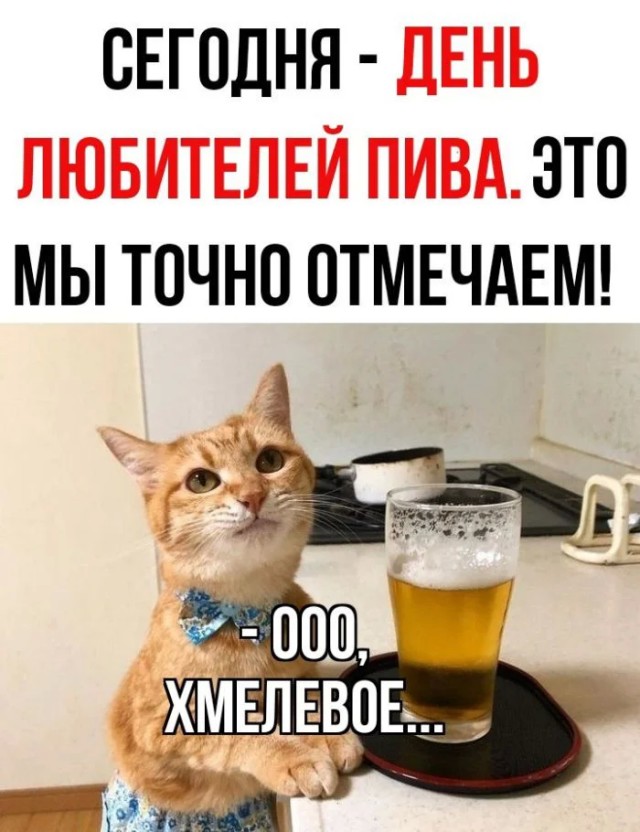 К котовторнику: подборка картинок-баянов с котиками и про котиков. Выпуск 10