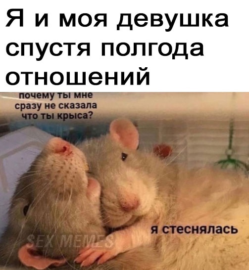 Картинки для деградации -2 (разной степени свежести)