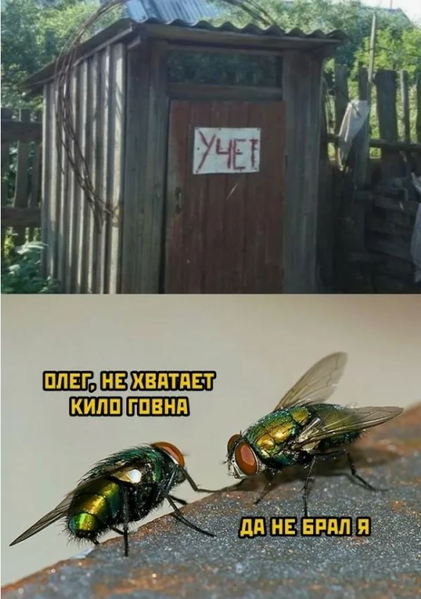 1 сентября во Франции.