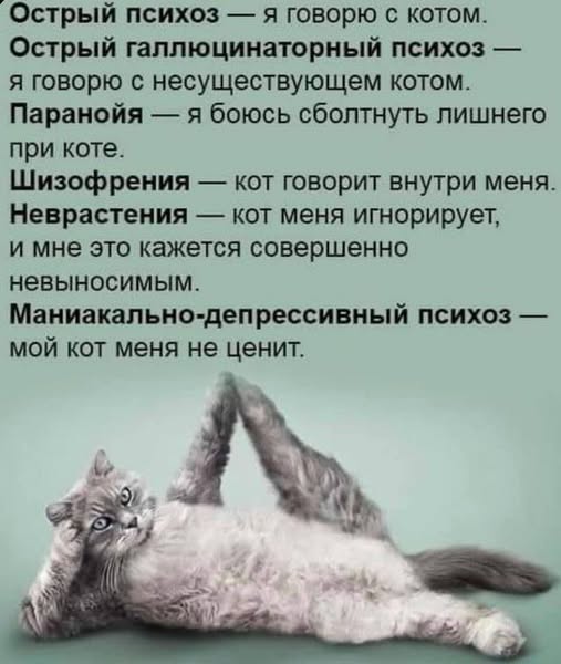 Картиночки, баянчики 24 января