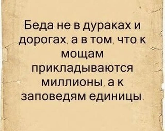 Картиночки, баянчики 31 января