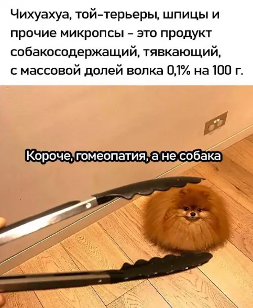 Картиночки, баянчики 10 марта