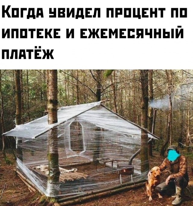 Веселые картинки в маленькую пятницу(25.03)