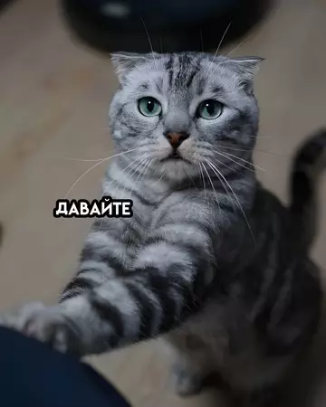 Пакет брать будете?
