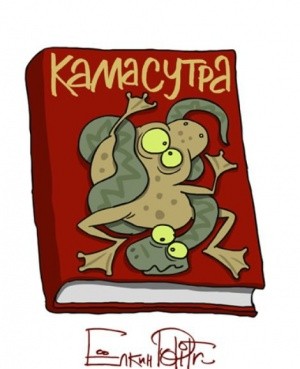 Это моя корова, и я ее дою...