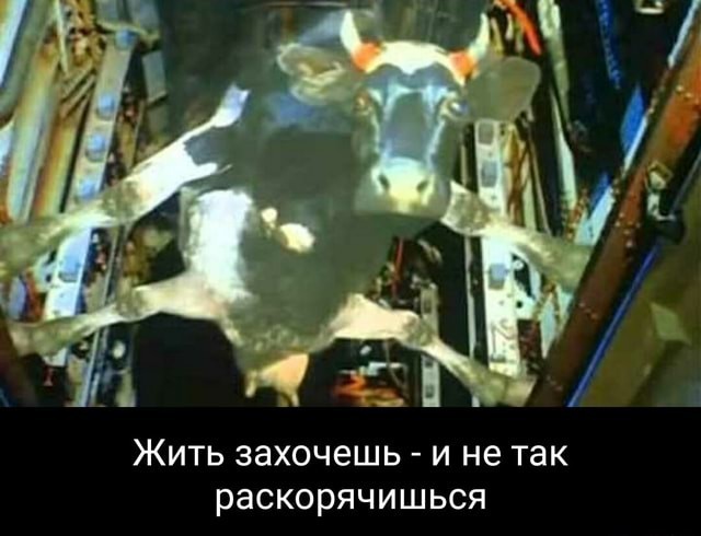 Голикова заявила о снижении уровня бедности в полтора раза с 2021 года