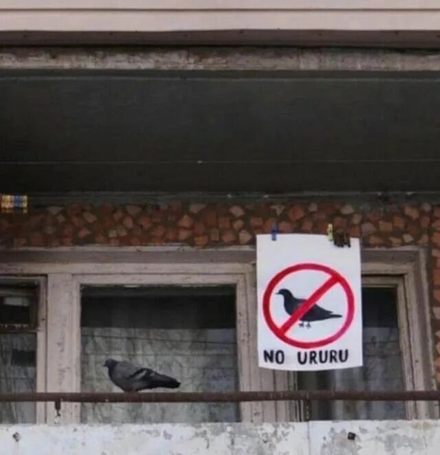 Одна картинка
