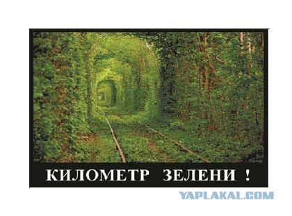 Это вам не в комп задрачивать