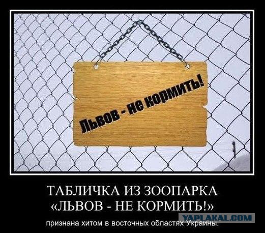 Ну, а животные то в чем виноваты?