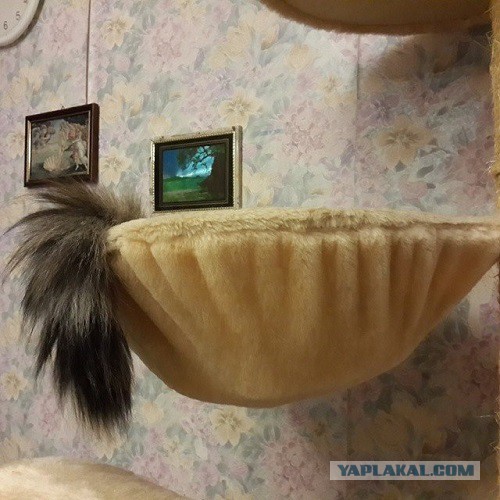 Все умрут, но некоторые не сегодня