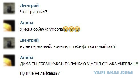 Смешные комментарии из социальных сетей