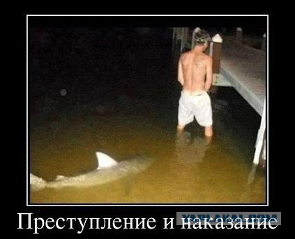 Странные люди, которых можно встретить в пути